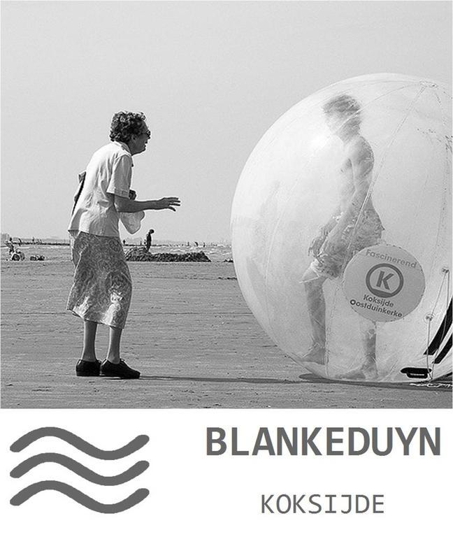 Blankeduyn Koksijde Apartment Luaran gambar